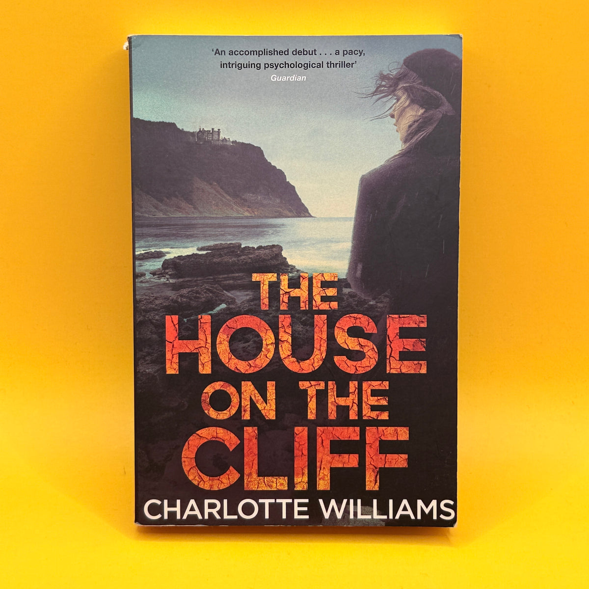 The House on the Cliff by Charlotte Williams