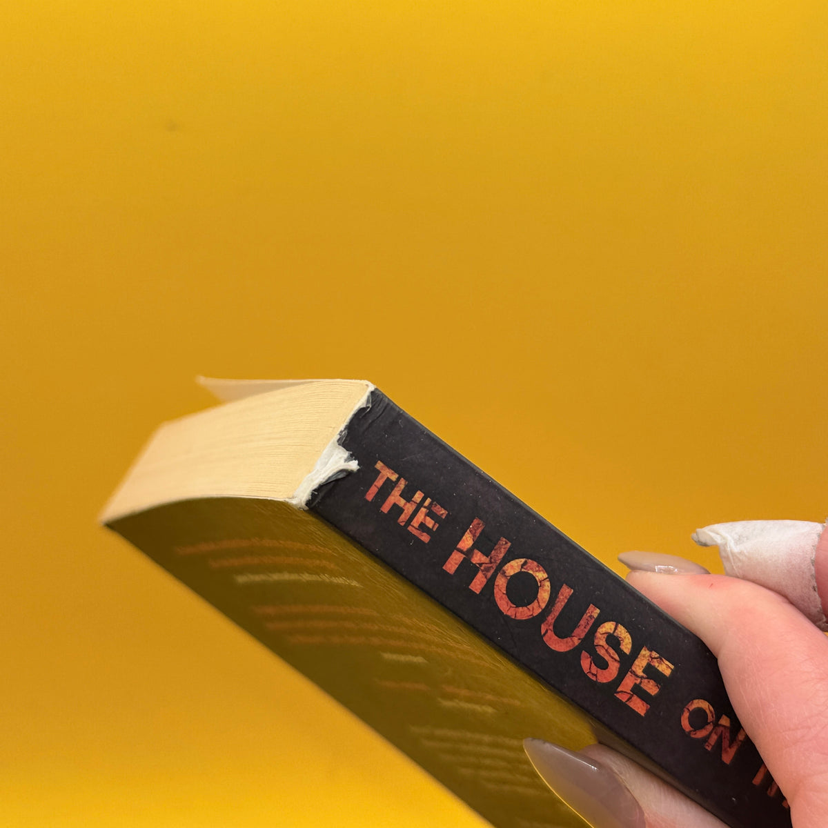 The House on the Cliff by Charlotte Williams