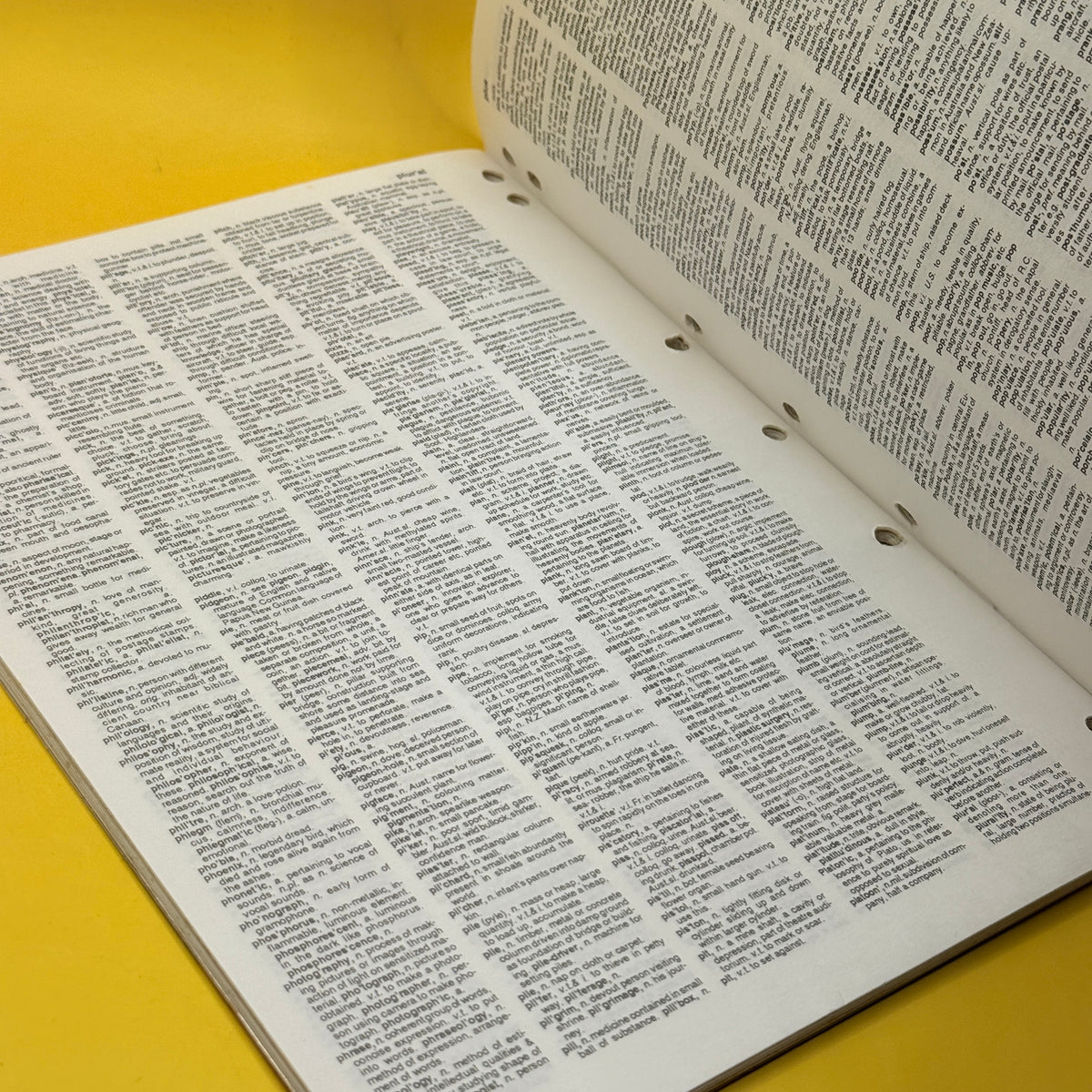 Phoenix Classmate Dictionary by Phoenix Publishing