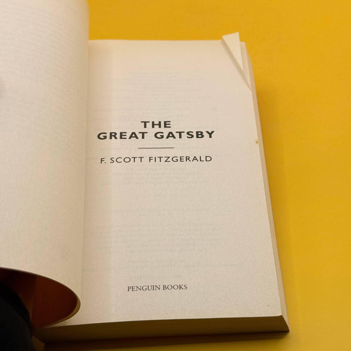 The Great Gatsby by F. Scott Fitzgerald