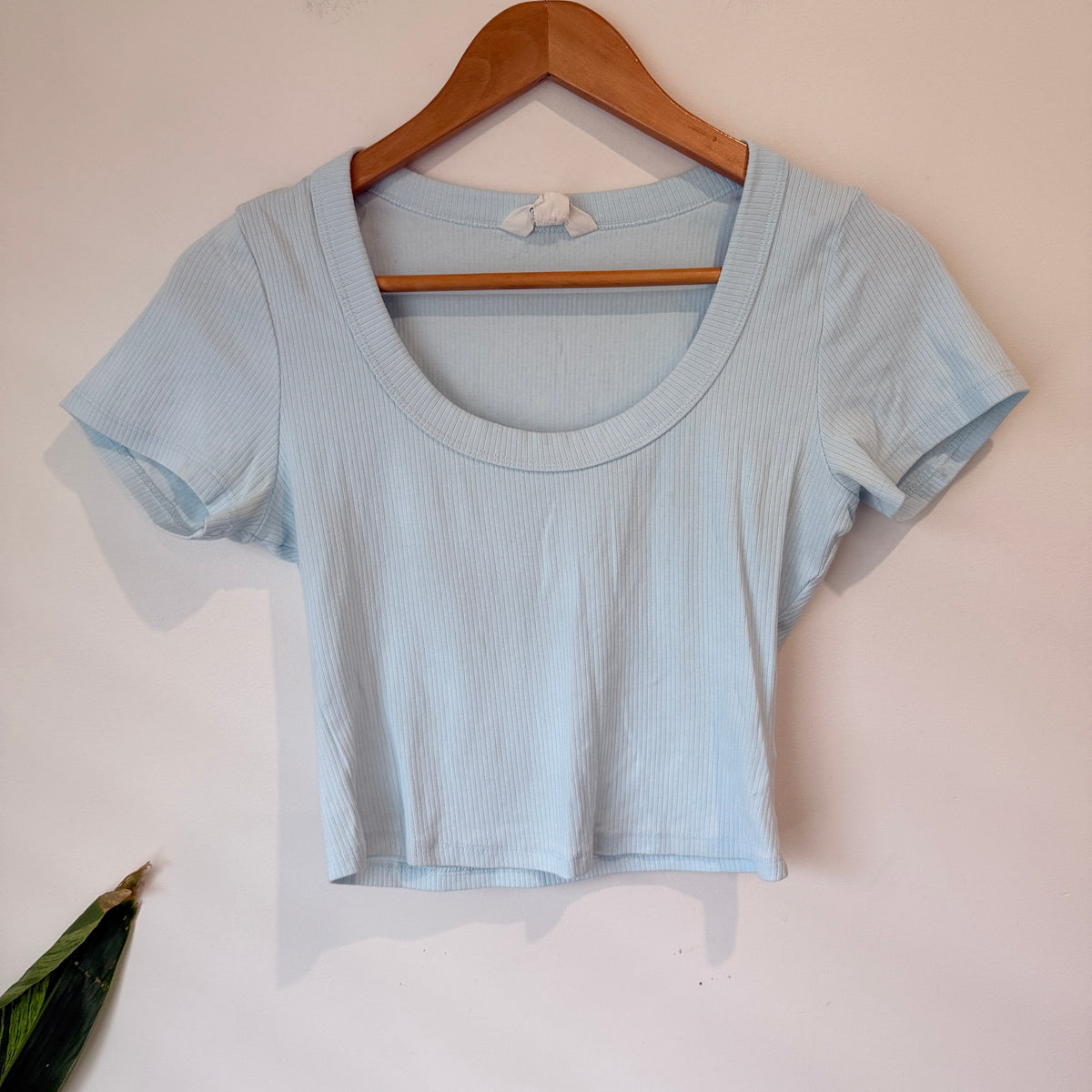 Glassons Light Blue Ribbed Crop Tee Size M