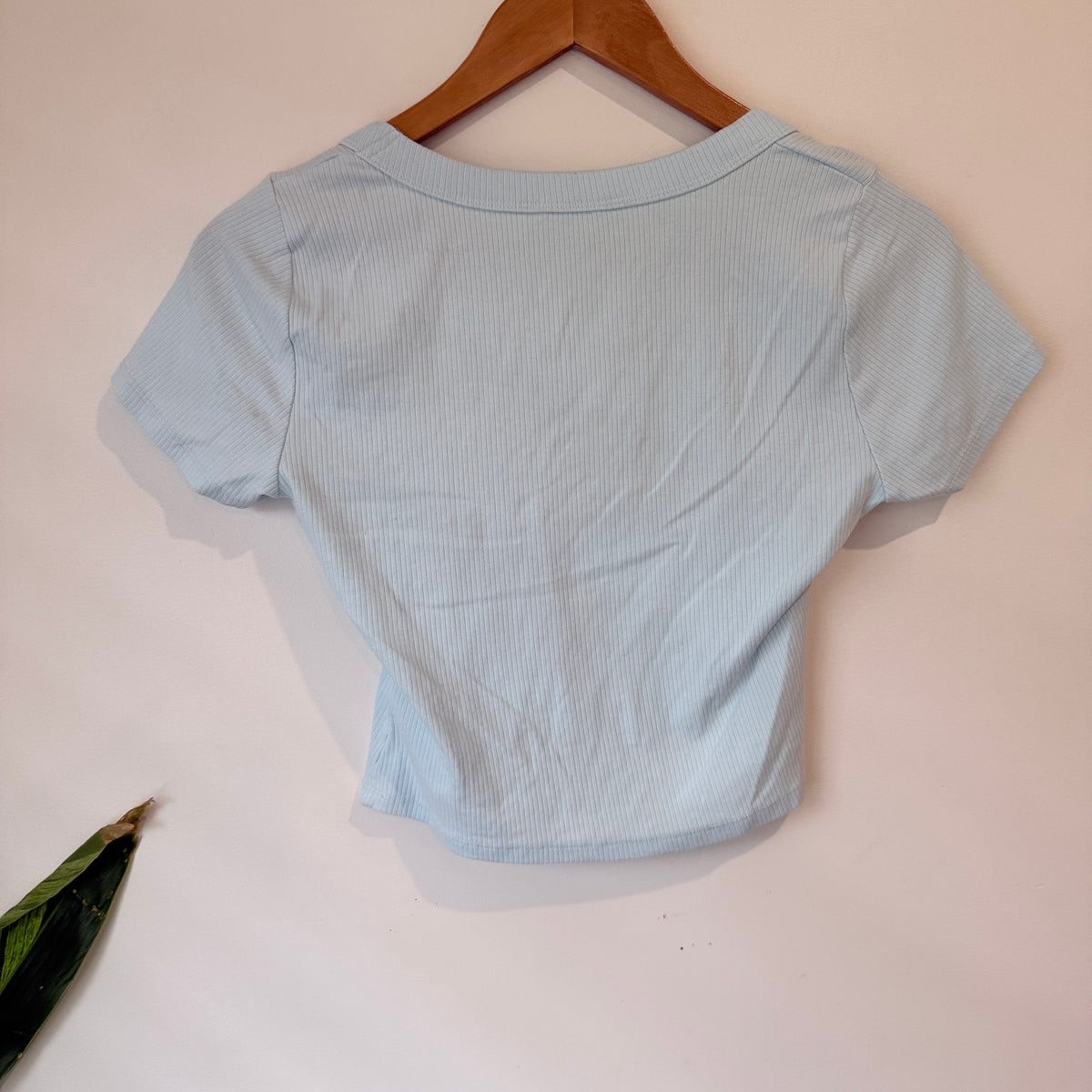 Glassons Light Blue Ribbed Crop Tee Size M