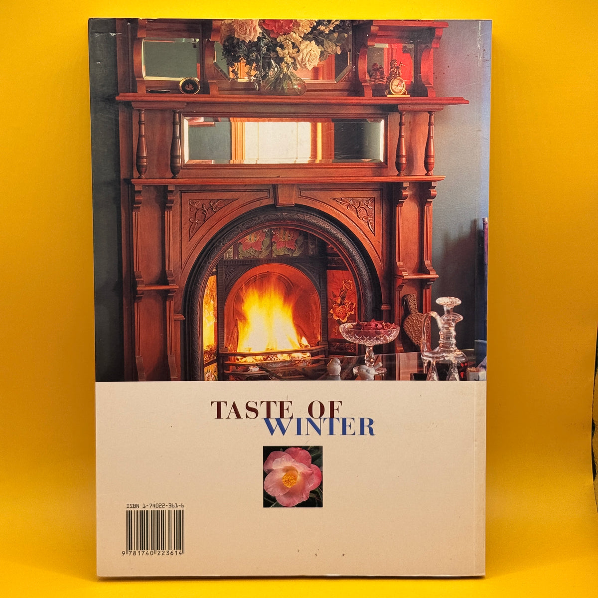Taste of New Zealand Winter: A Festival of Winter Cooking by Robyn Martin