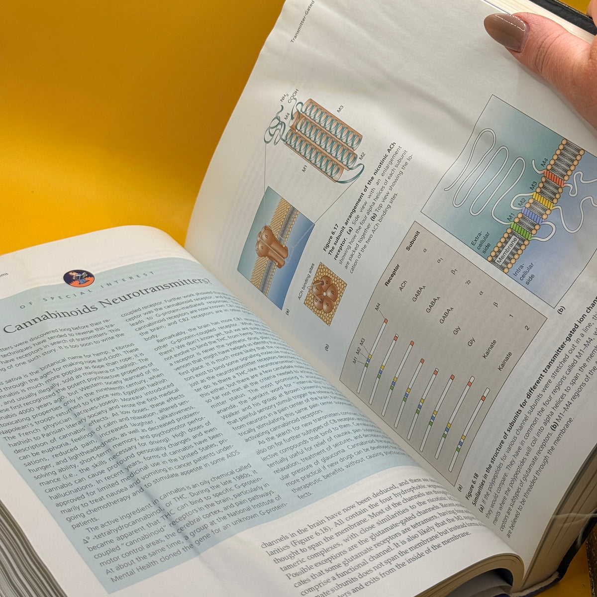 Neuroscience: Exploring the Brain by Mark F. Bear, Barry W. Connors and Michael A. Paradiso