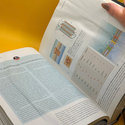 Neuroscience: Exploring the Brain by Mark F. Bear, Barry W. Connors and Michael A. Paradiso