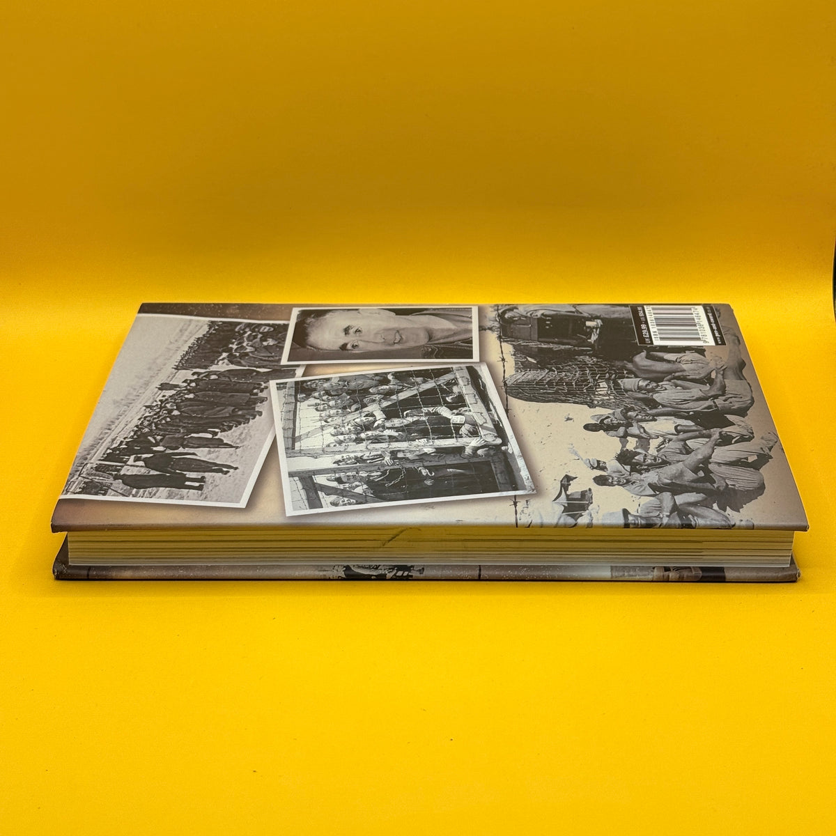 Captive Scorpion by Brendan O’Carroll