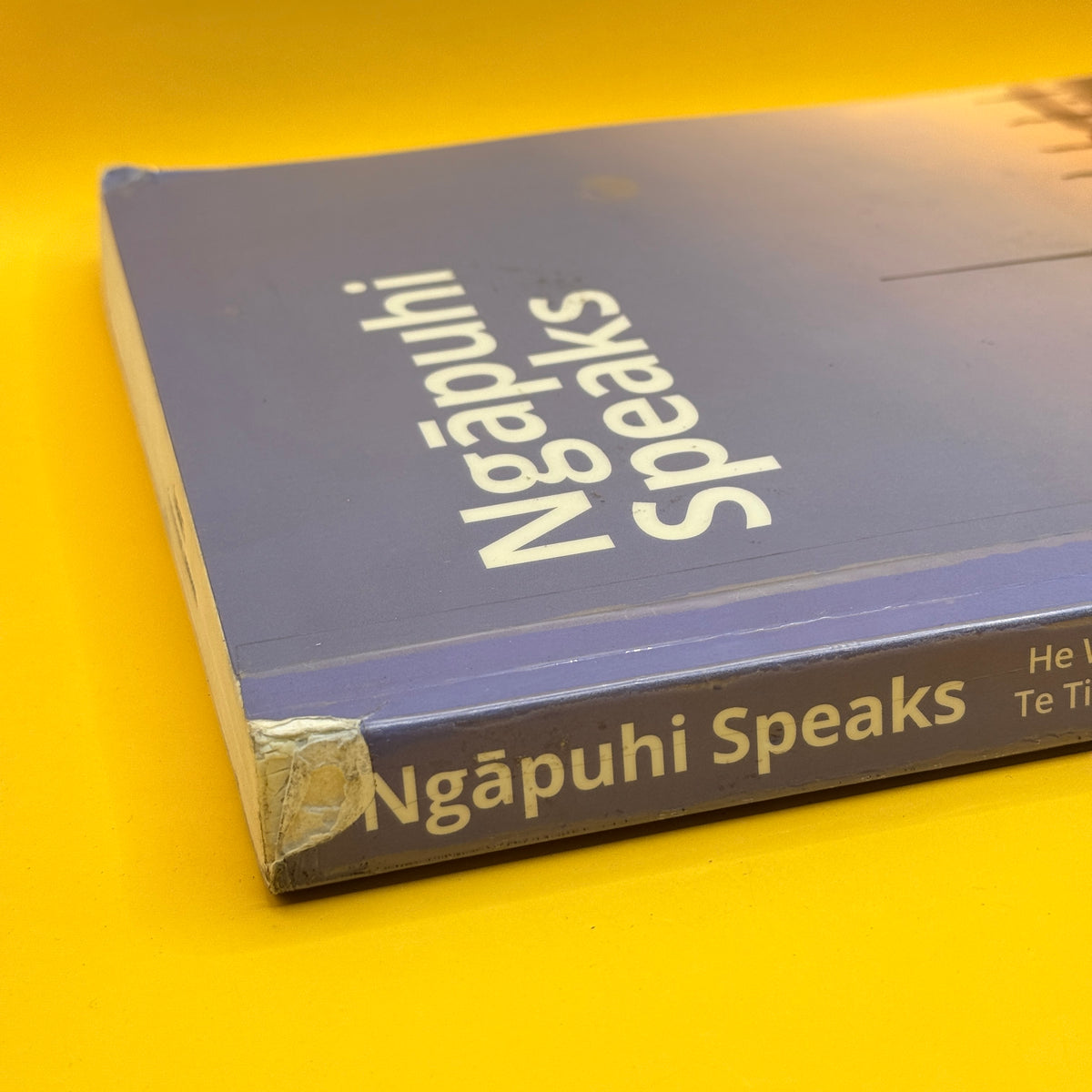 Ngāpuhi Speaks: He Wakaputanga and Te Tiriti o Waitangi by Te Kawariki and Network Waitangi Whangarei