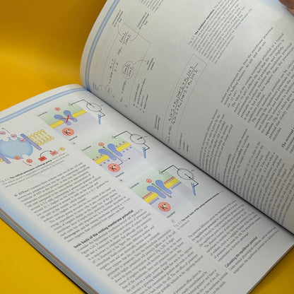Clinical Neuroscience: An Illustrated Colour Text by Paul Johns