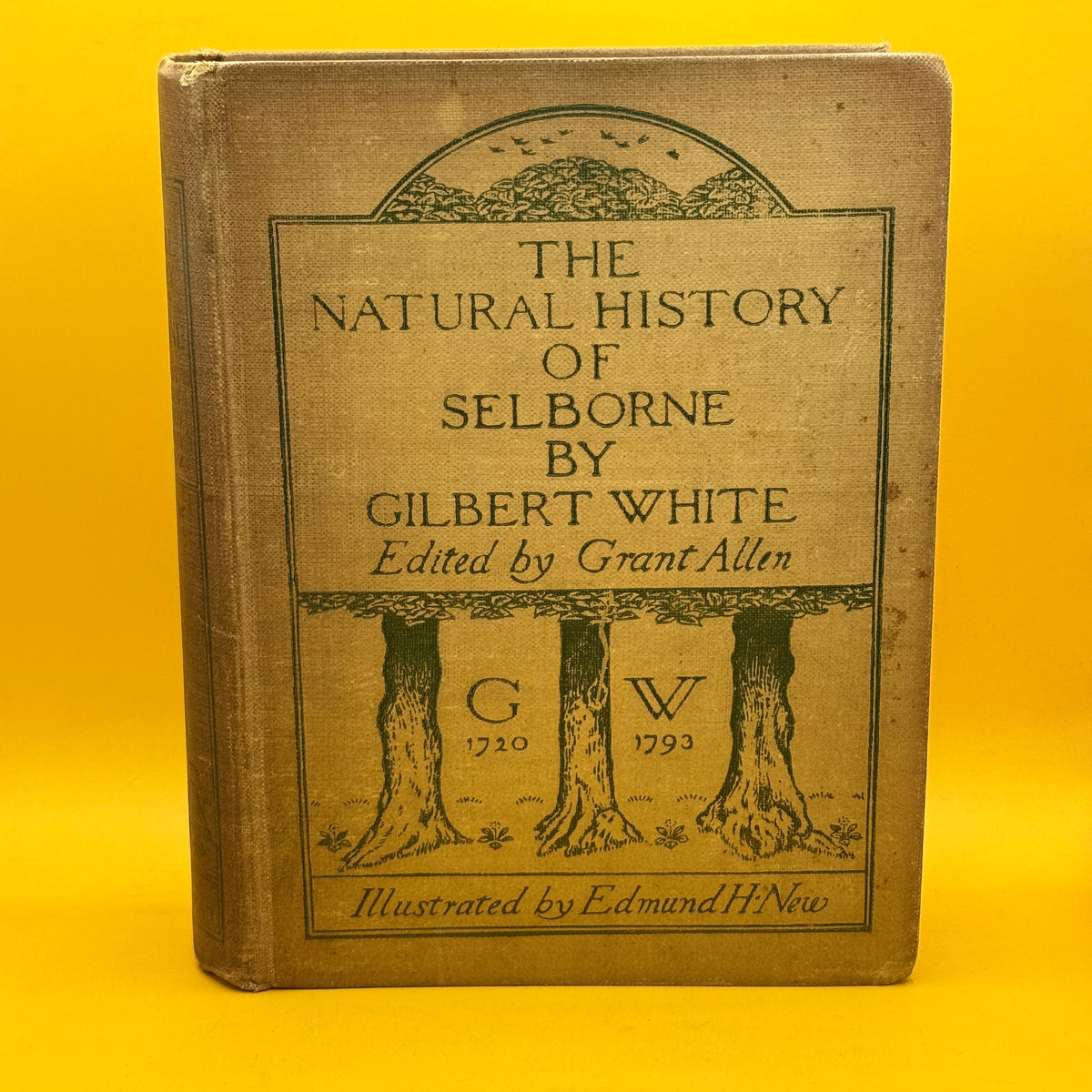 The Natural History of Selborne by Gilbert White (1900, Ballentyne)