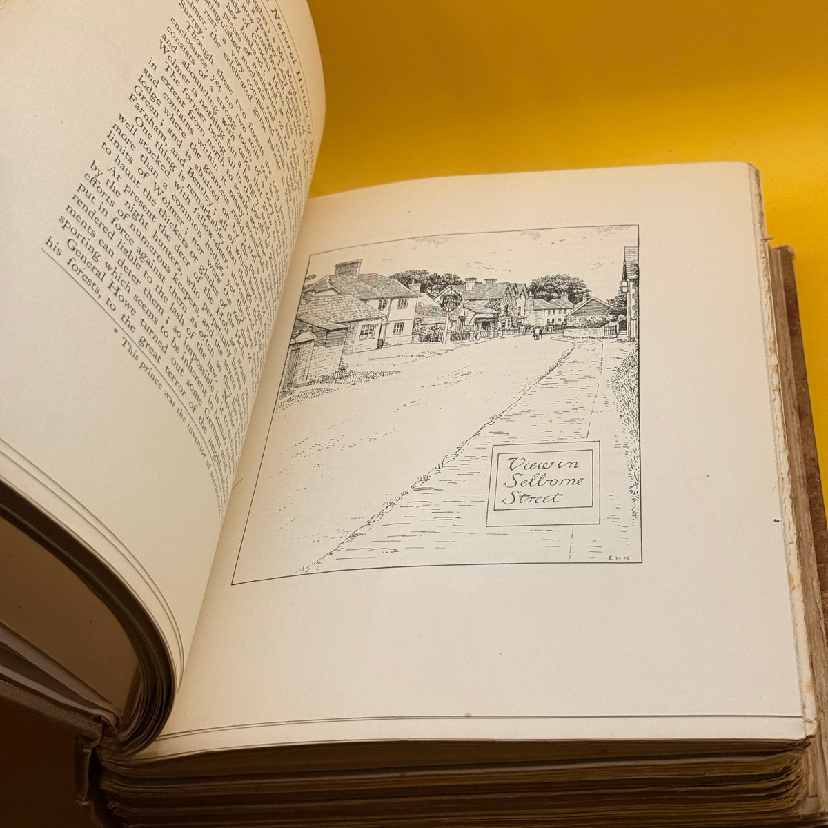The Natural History of Selborne by Gilbert White (1900, Ballentyne)