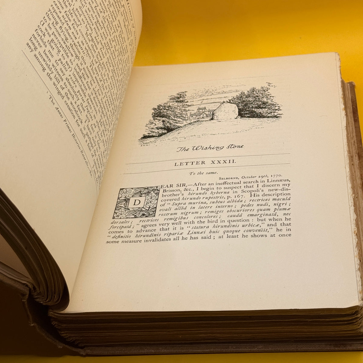The Natural History of Selborne by Gilbert White (1900, Ballentyne)