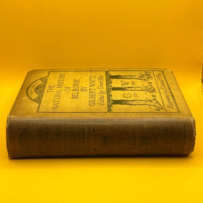 The Natural History of Selborne by Gilbert White (1900, Ballentyne)