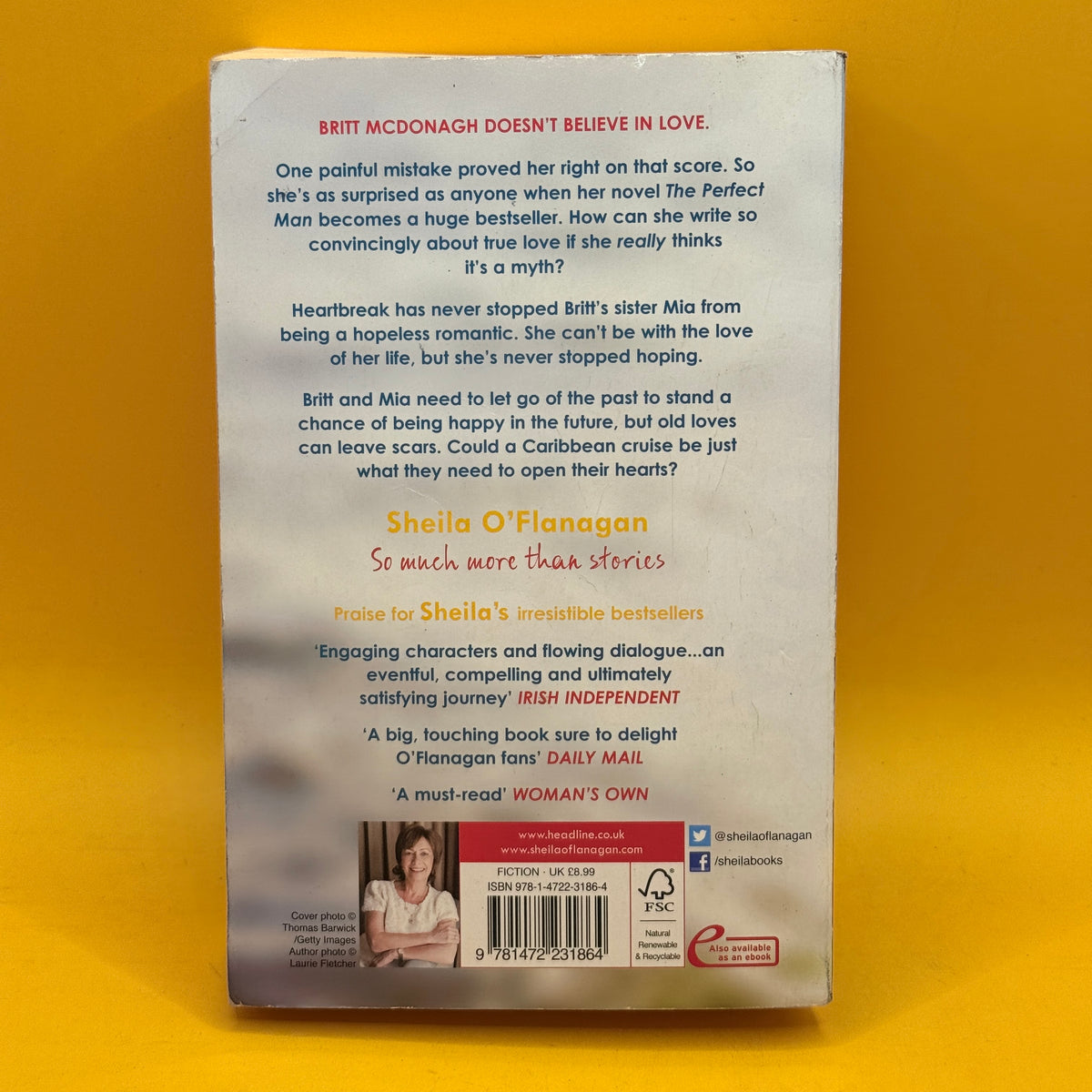 The Perfect Man by Sheila O’Flanagan
