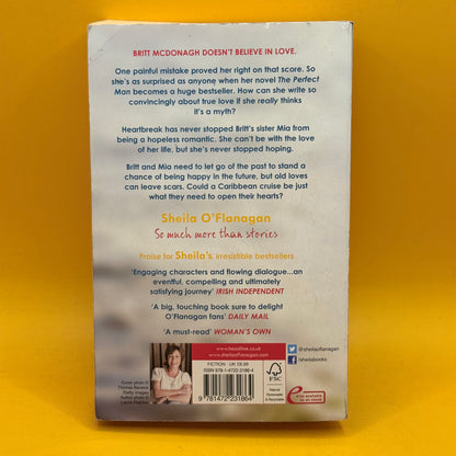 The Perfect Man by Sheila O’Flanagan