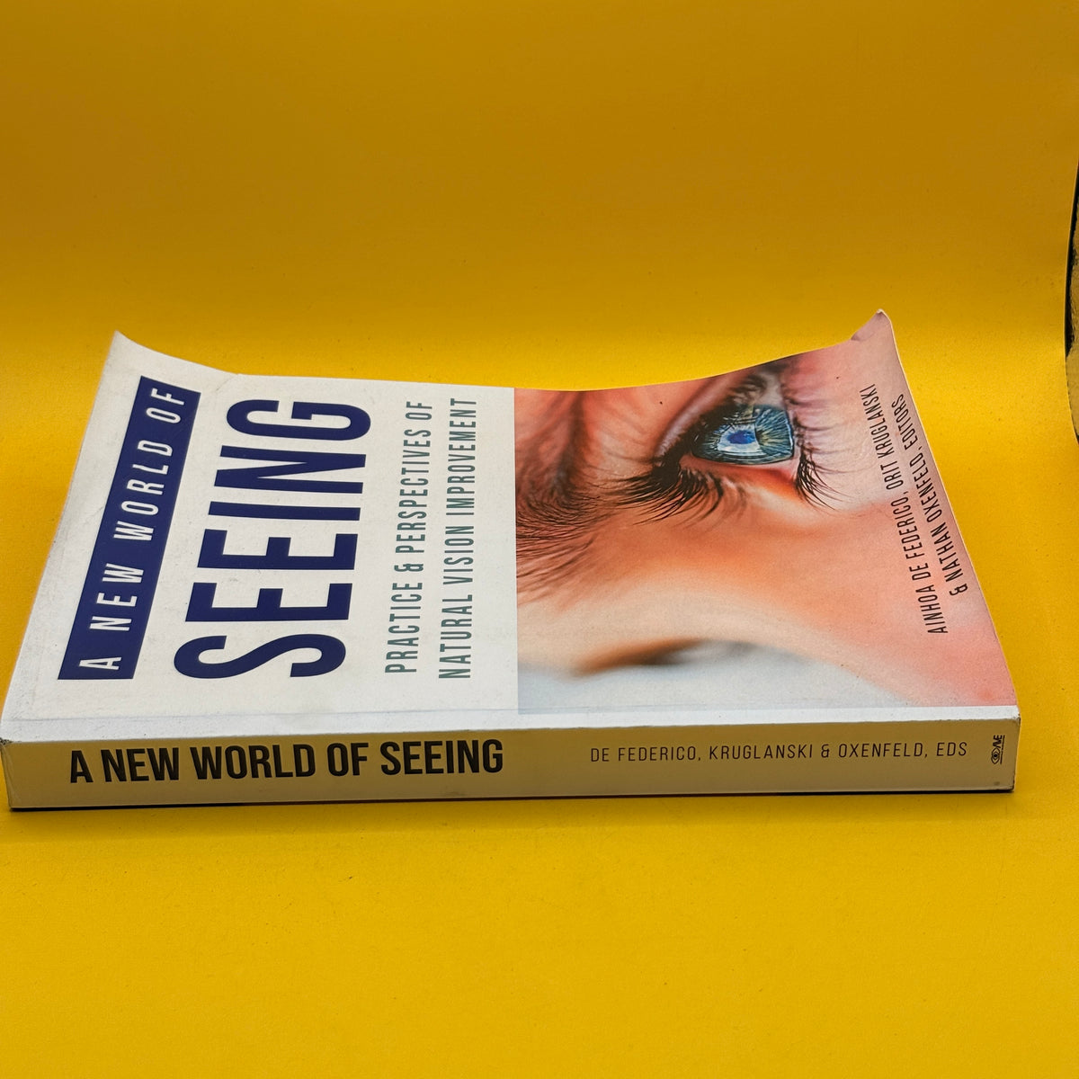 A New World of Seeing by Ainhoa de Federico, Orit Kruglanski and Nathan Oxenfeld