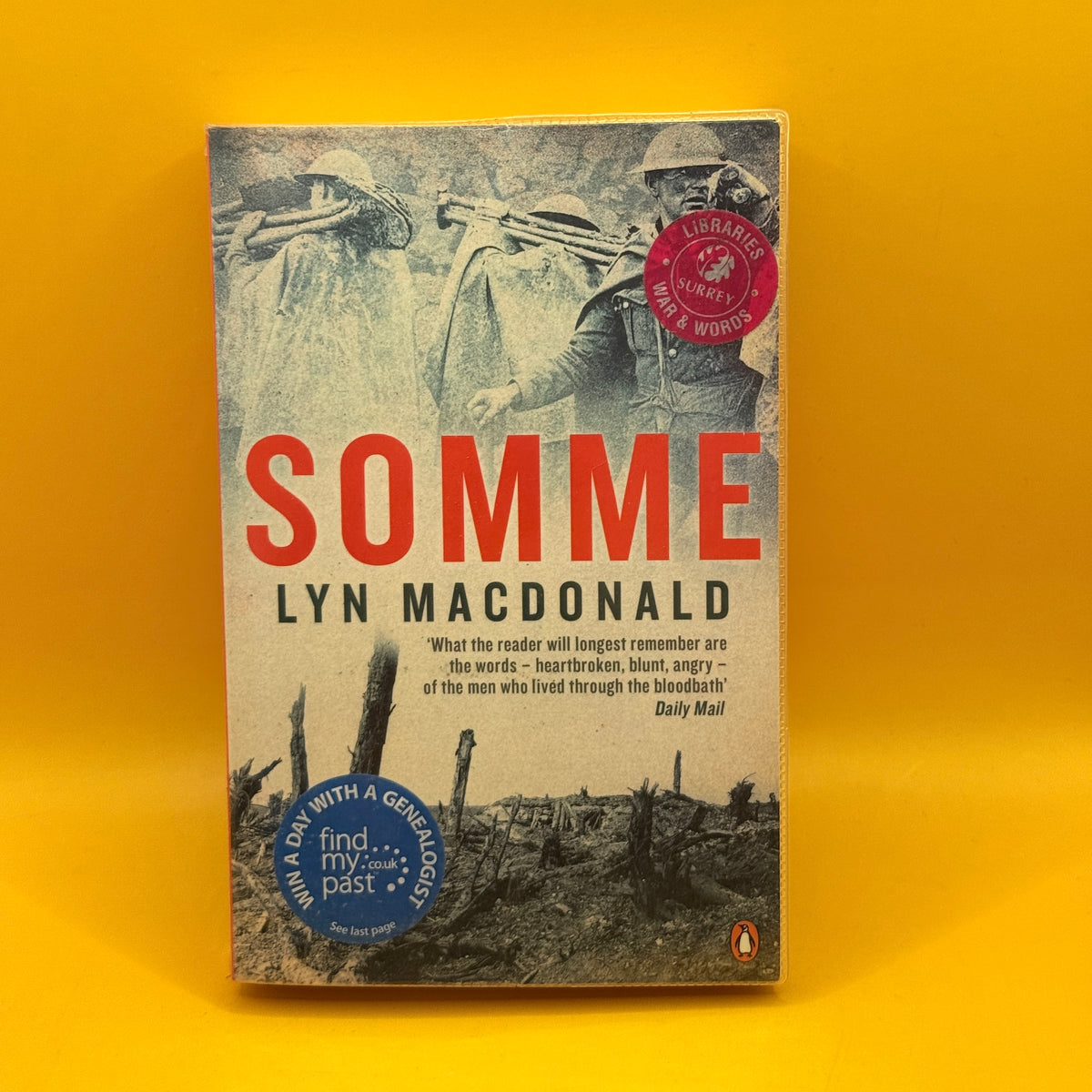Somme by Lyn Macdonald