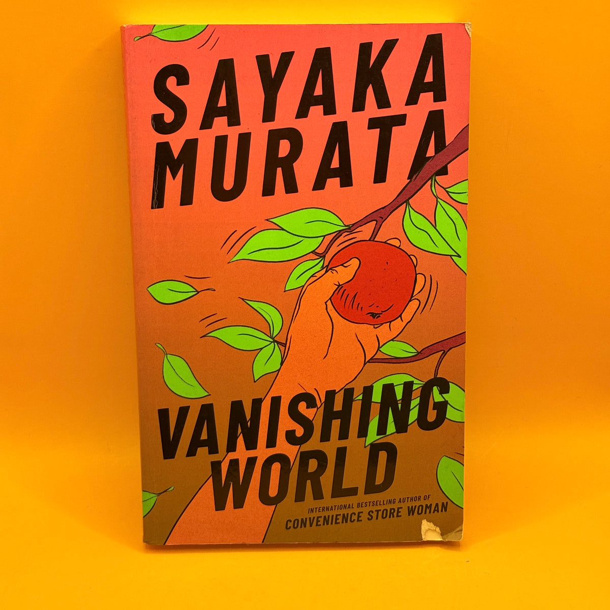 Vanishing World by Sayaka Murata