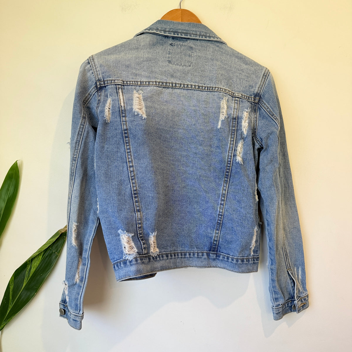 Pagani Blue Distressed Denim Jacket Size 12