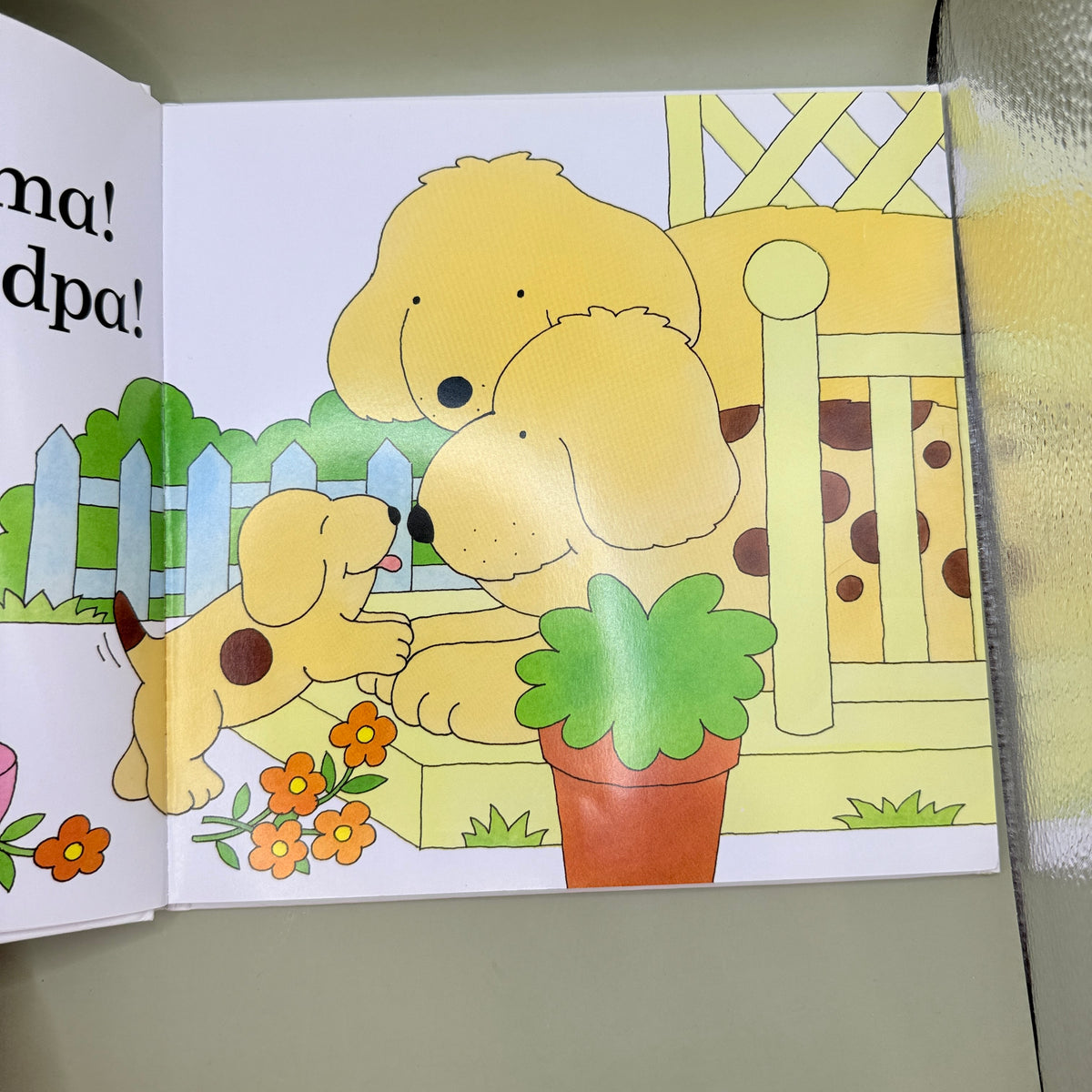 Spot Visits His Grandparents by Eric Hill.