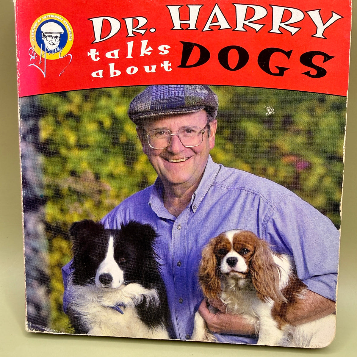 Dr Harry Talks About Dogs