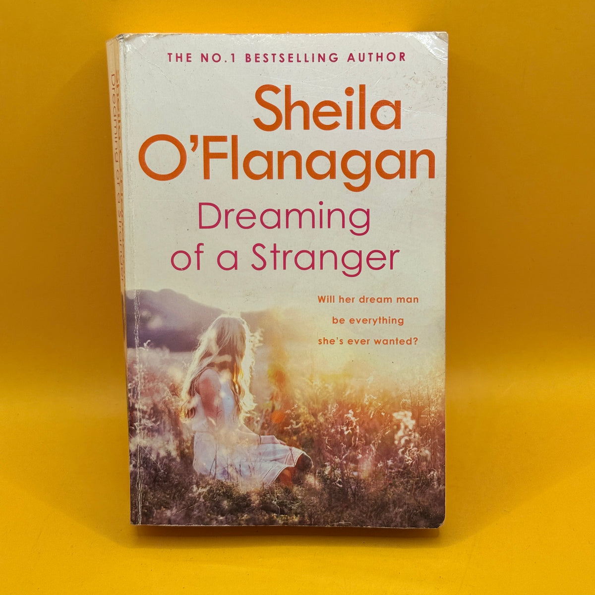 Dreaming of a Stranger by Sheila O'Flanagan