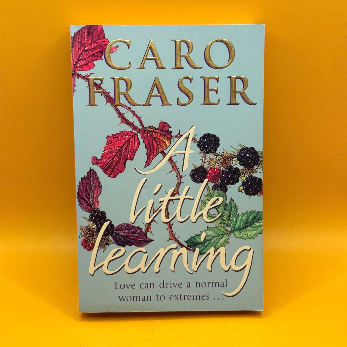 A Little Learning by Caro Fraser