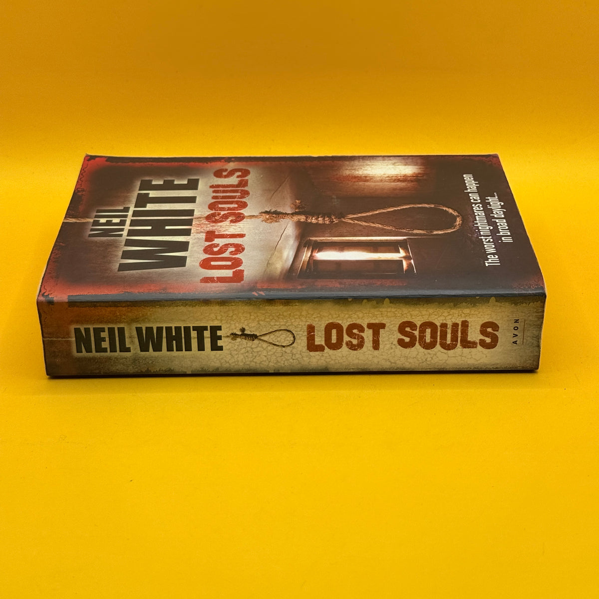 Lost Souls by Neil White