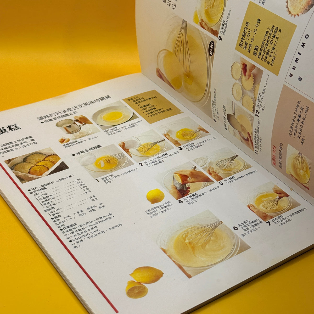Cake Book for Beginners by 郭玉梅 (Chinese)