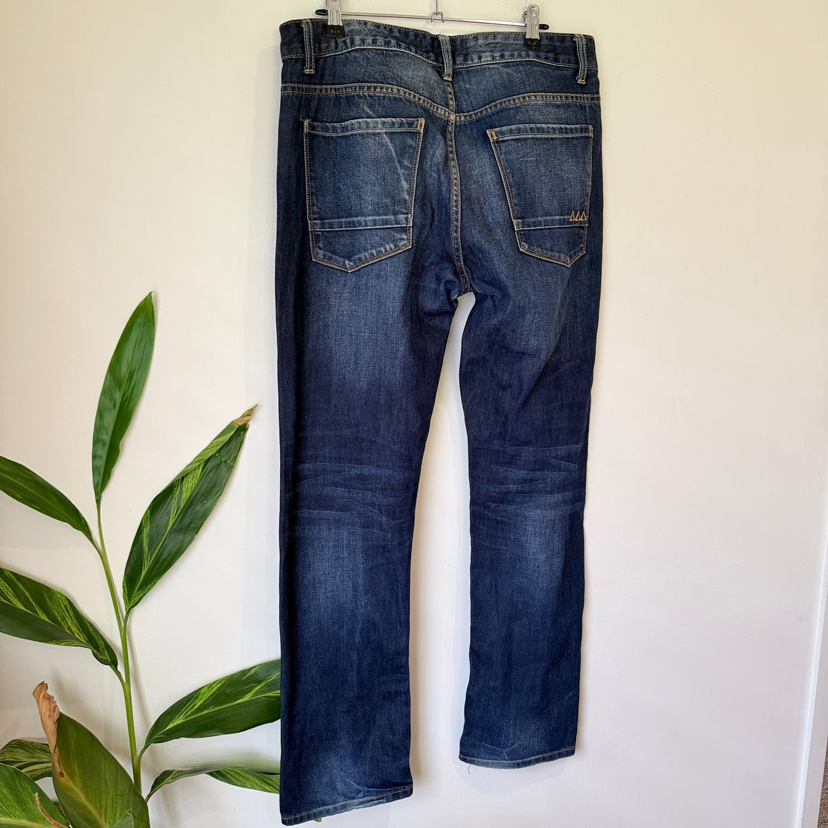 Park Dark Wash Jeans Size 34