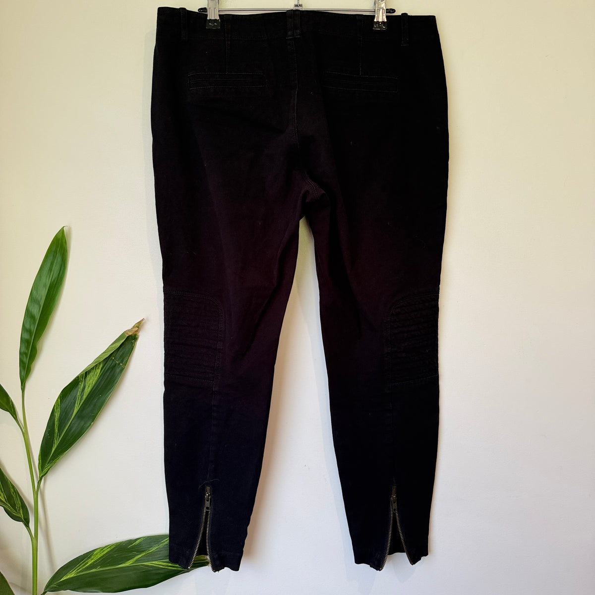 Moochi Collection Black Biker Panel Ankle Zip Pants Size 14