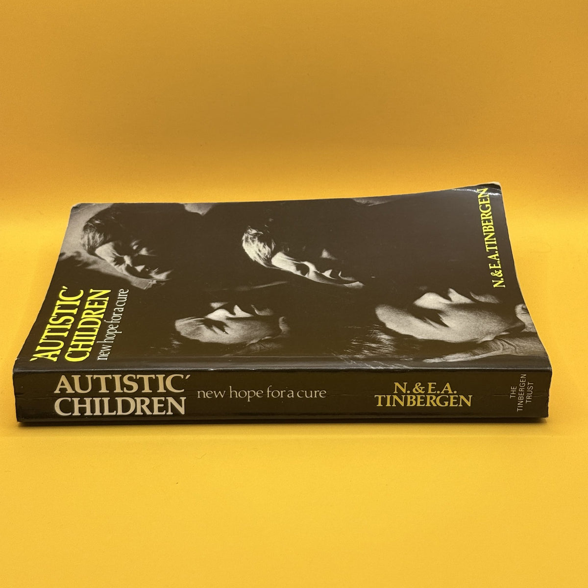 'Autistic' Children: New Hope for a Cure by Niko Tinbergen and Elisabeth A. Tinbergen