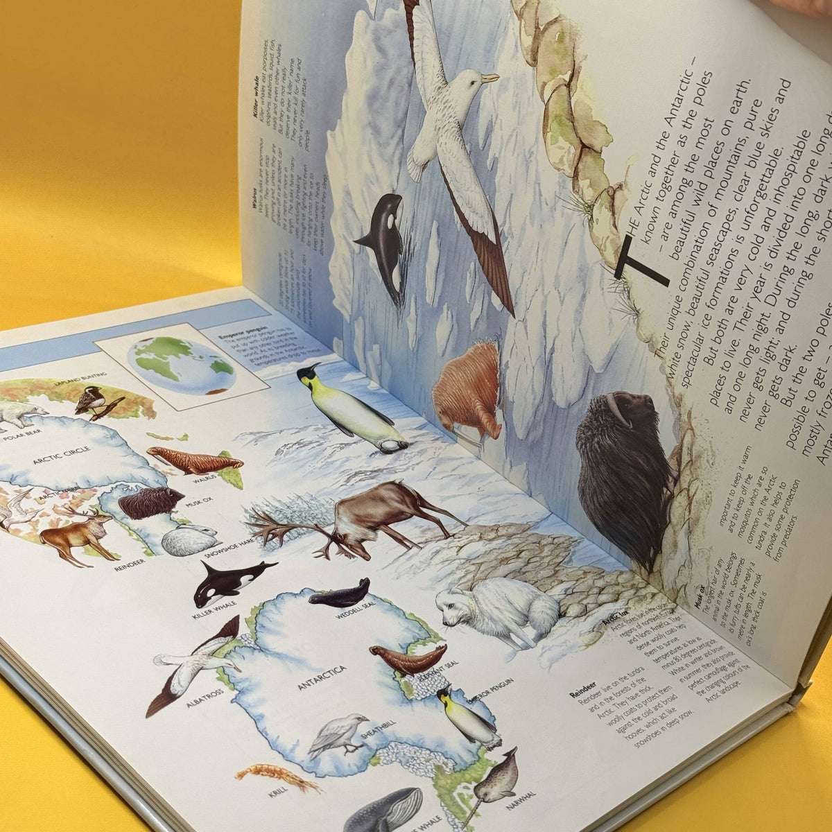 The Animal Atlas by Mark Carwardine 1988