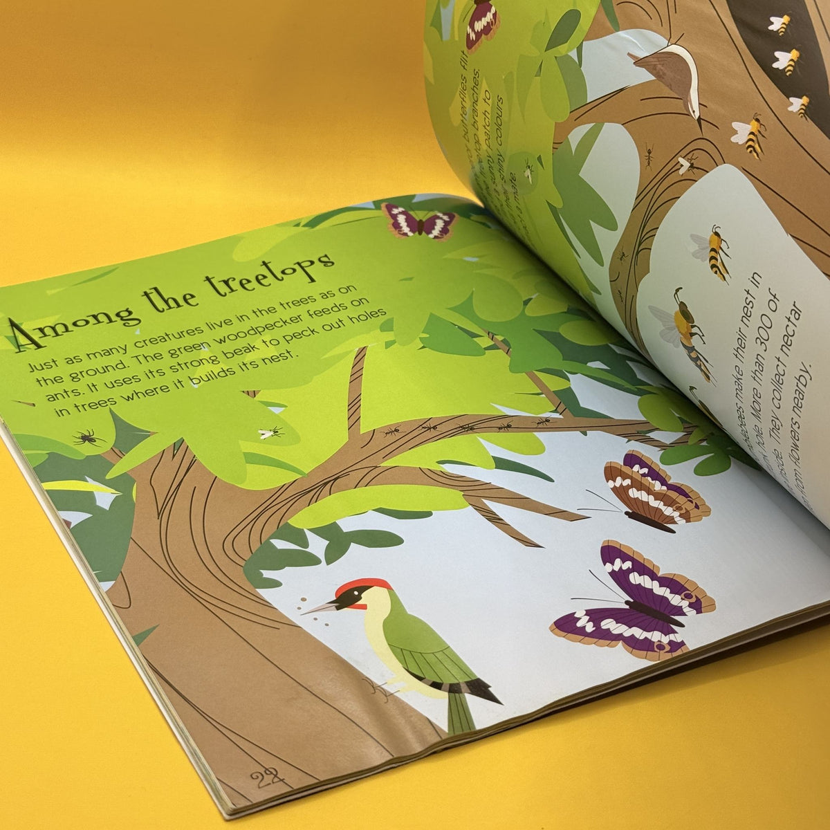 A Journey Through Nature by John Haslam and Steve Parker
