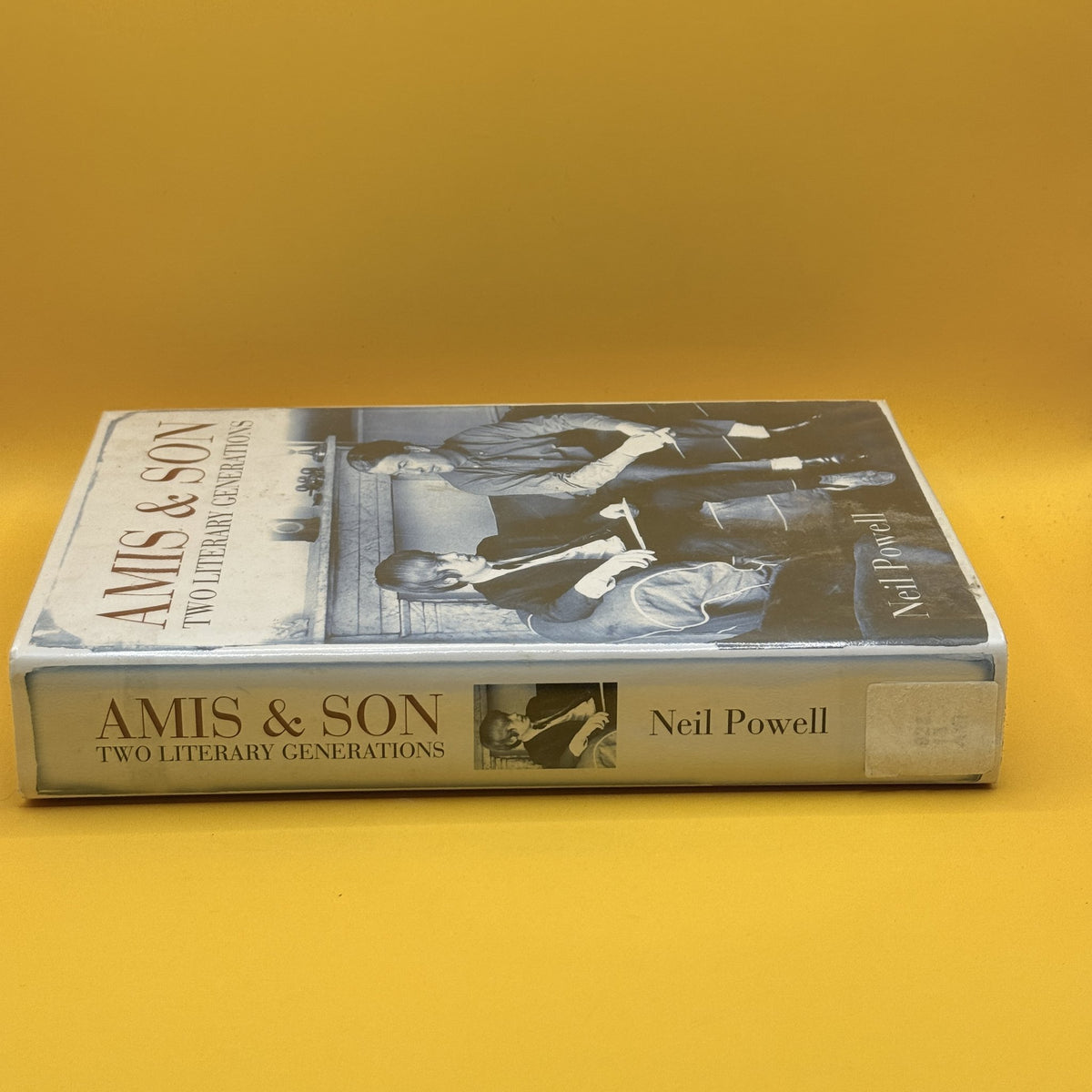Amis & Son: Two Literary Generations by Neil Powell
