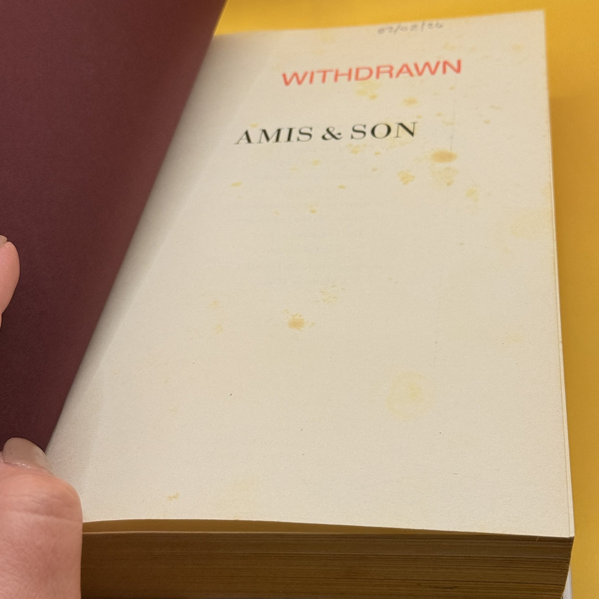 Amis & Son: Two Literary Generations by Neil Powell