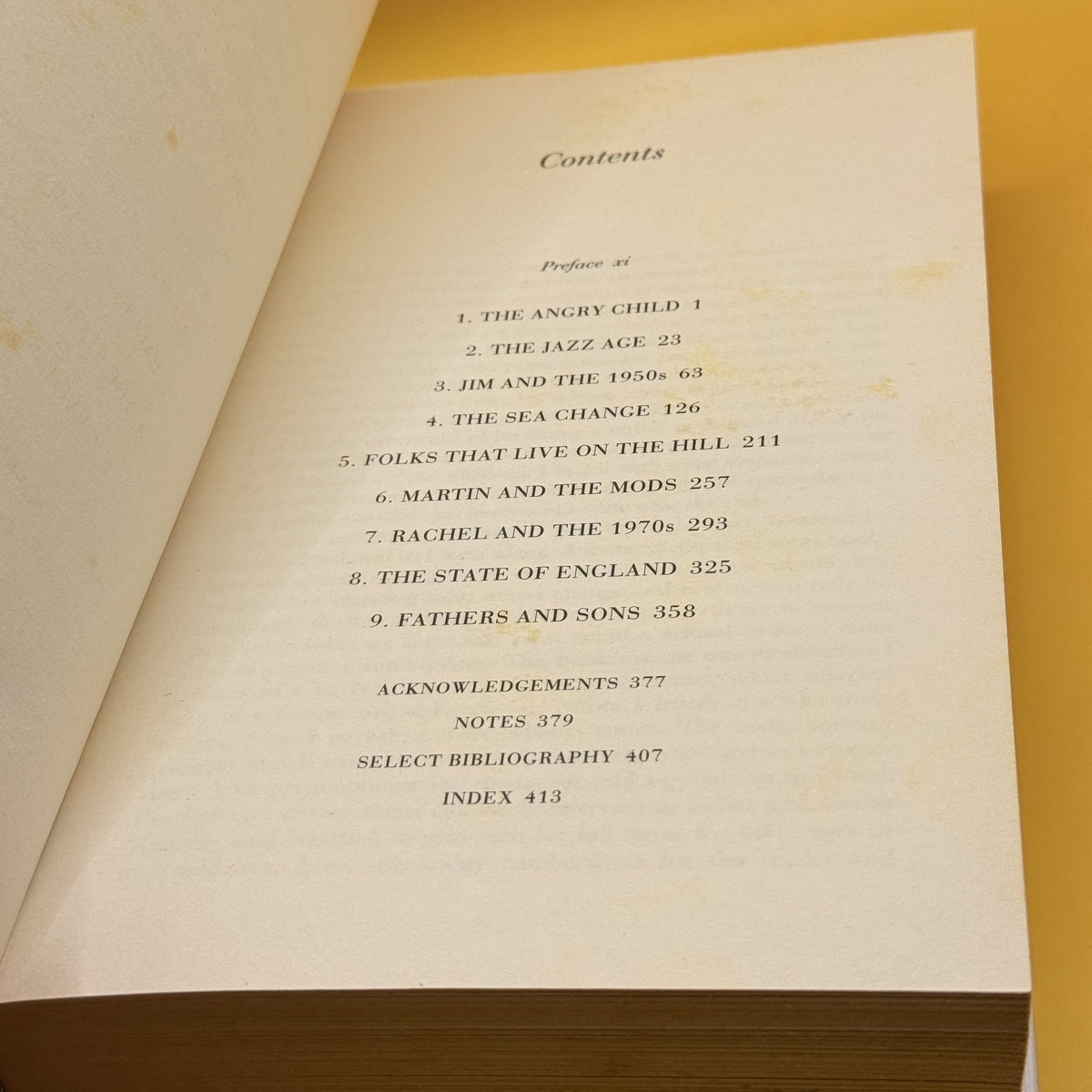 Amis & Son: Two Literary Generations by Neil Powell