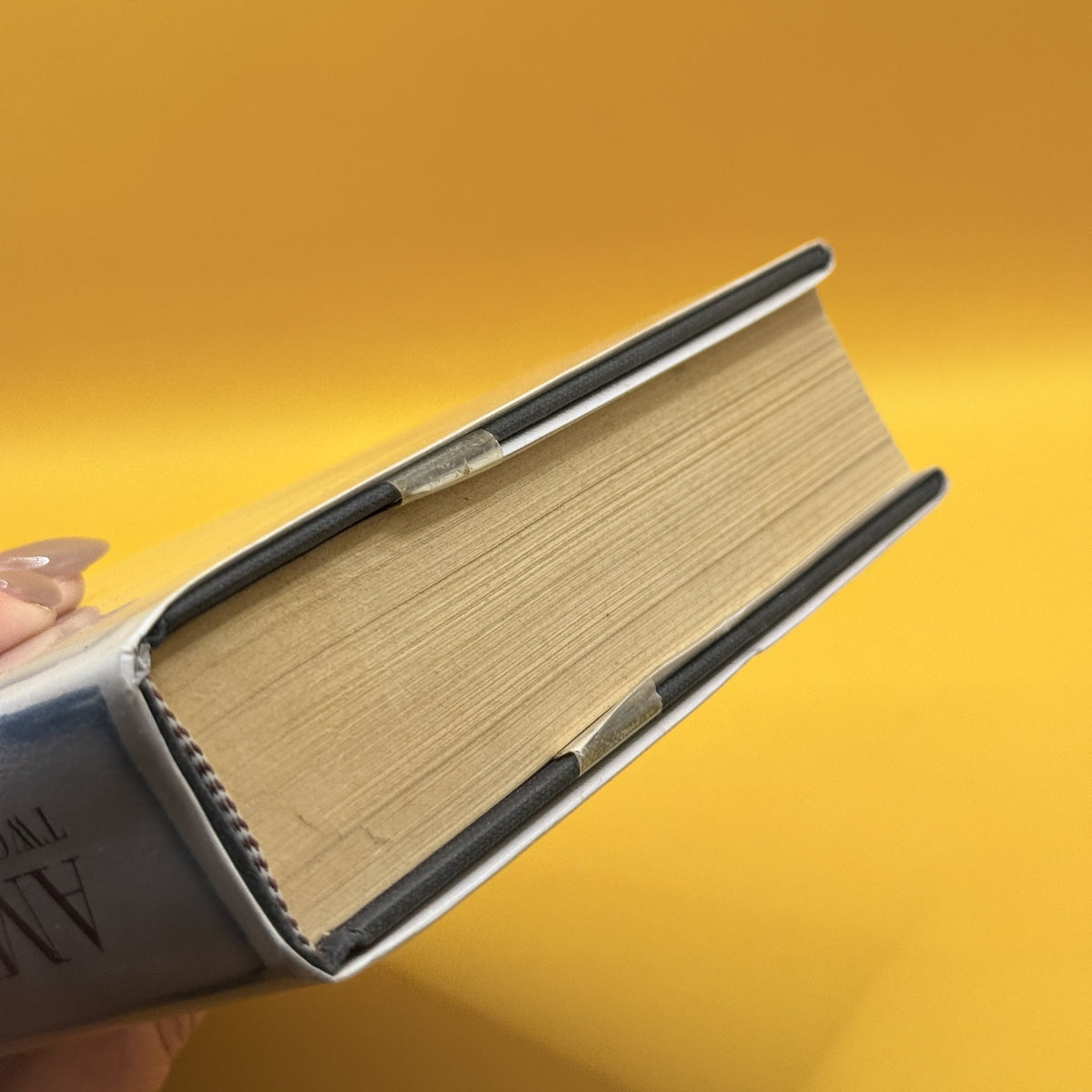 Amis & Son: Two Literary Generations by Neil Powell