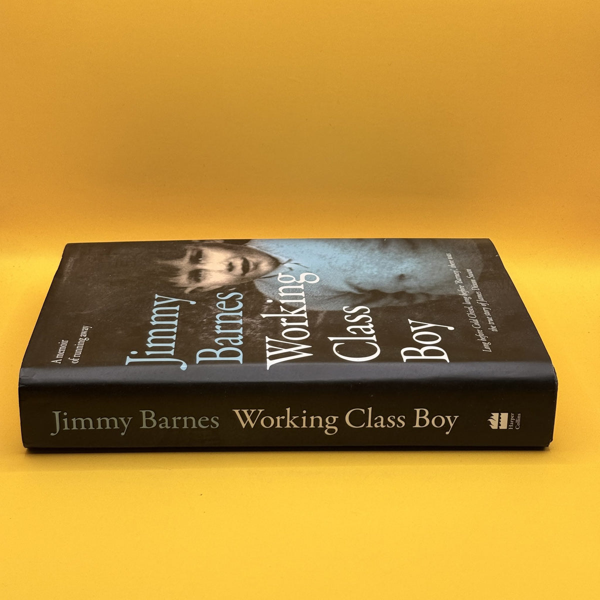 Working Class Boy by Jimmy Barnes