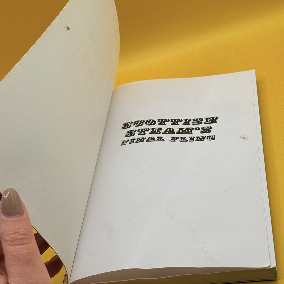 Scottish Steam’s Final Fling: Extracts from a Teenager’s Notebook by Keith Widdowson
