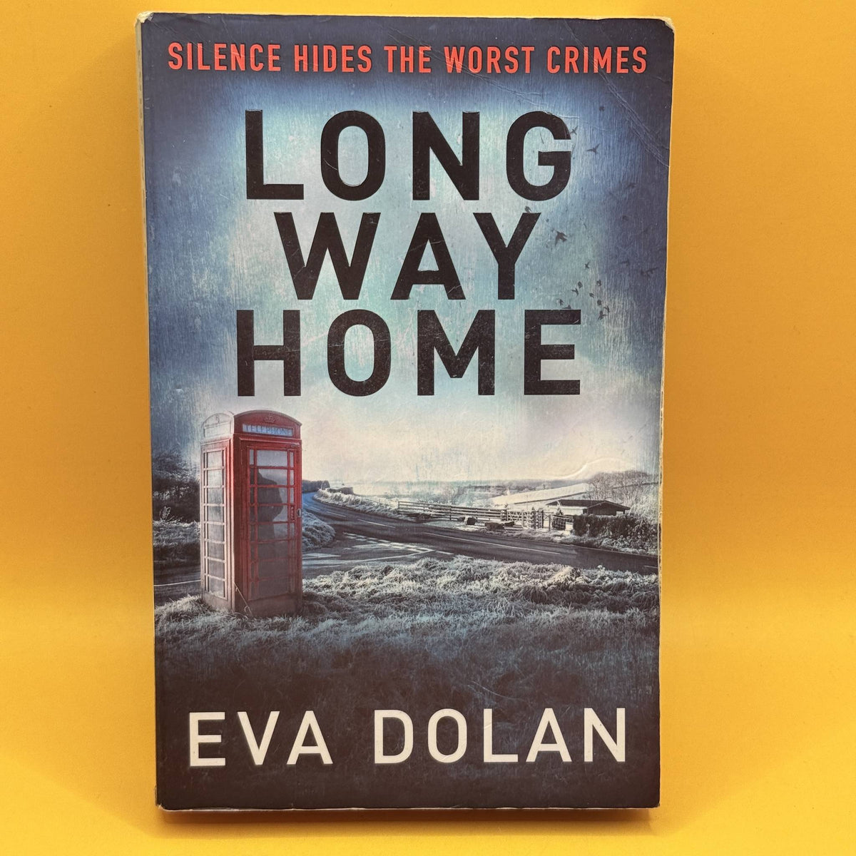 Long Way Home by Eva Dolan 2014