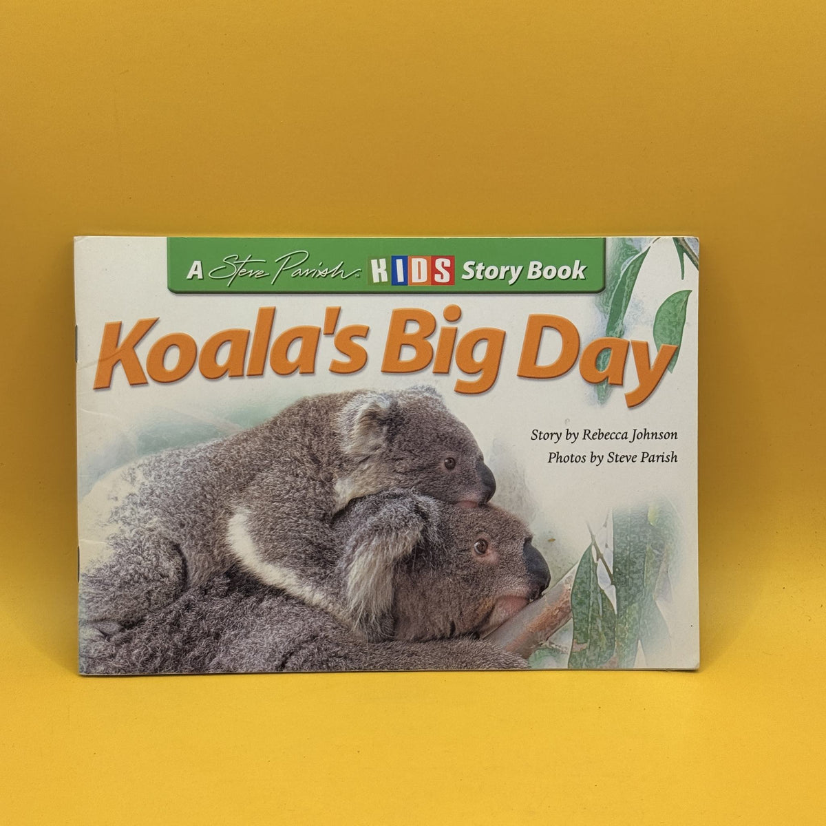 Koala’s Big Day by Rebecca Johnson