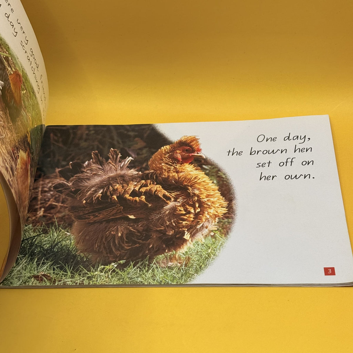 Chasing Chickens by Rebecca Johnson