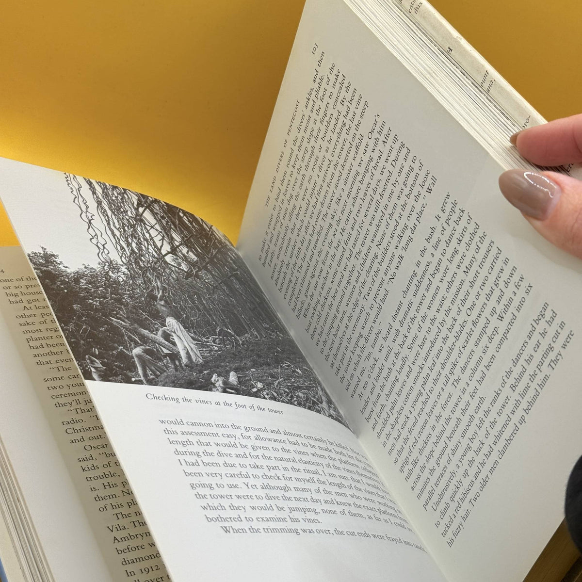 Journeys to the Past by David Attenborough 1981