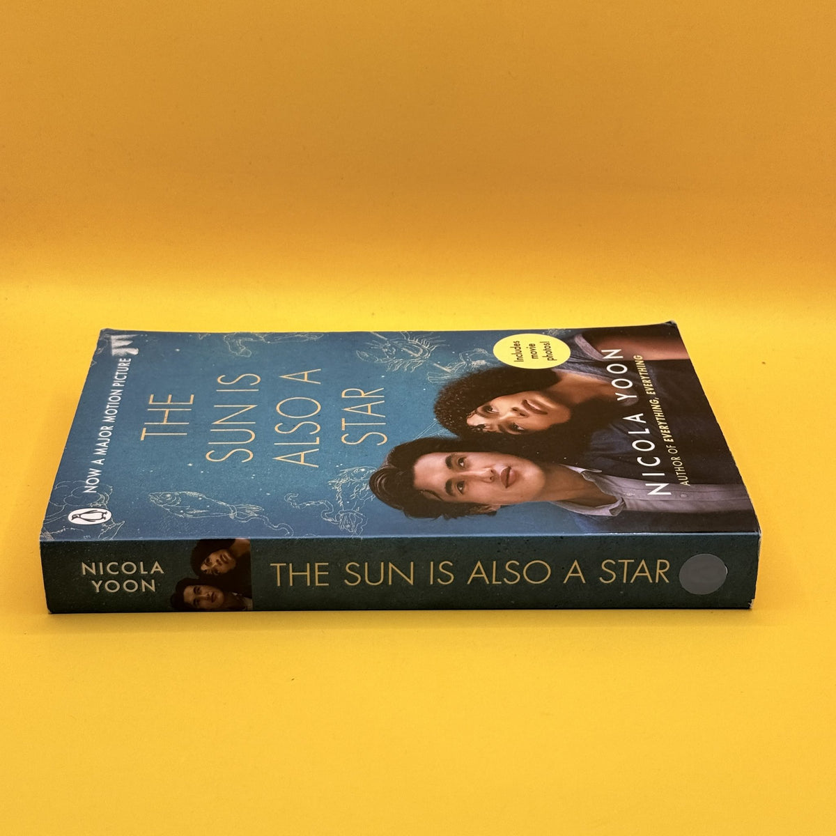 The Sun Is Also a Star by Nicola Yoon