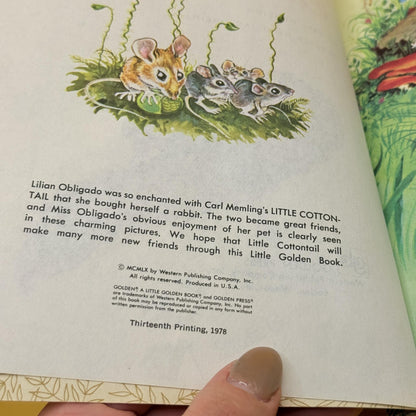 Little Cottontail by Carl Memling 1978