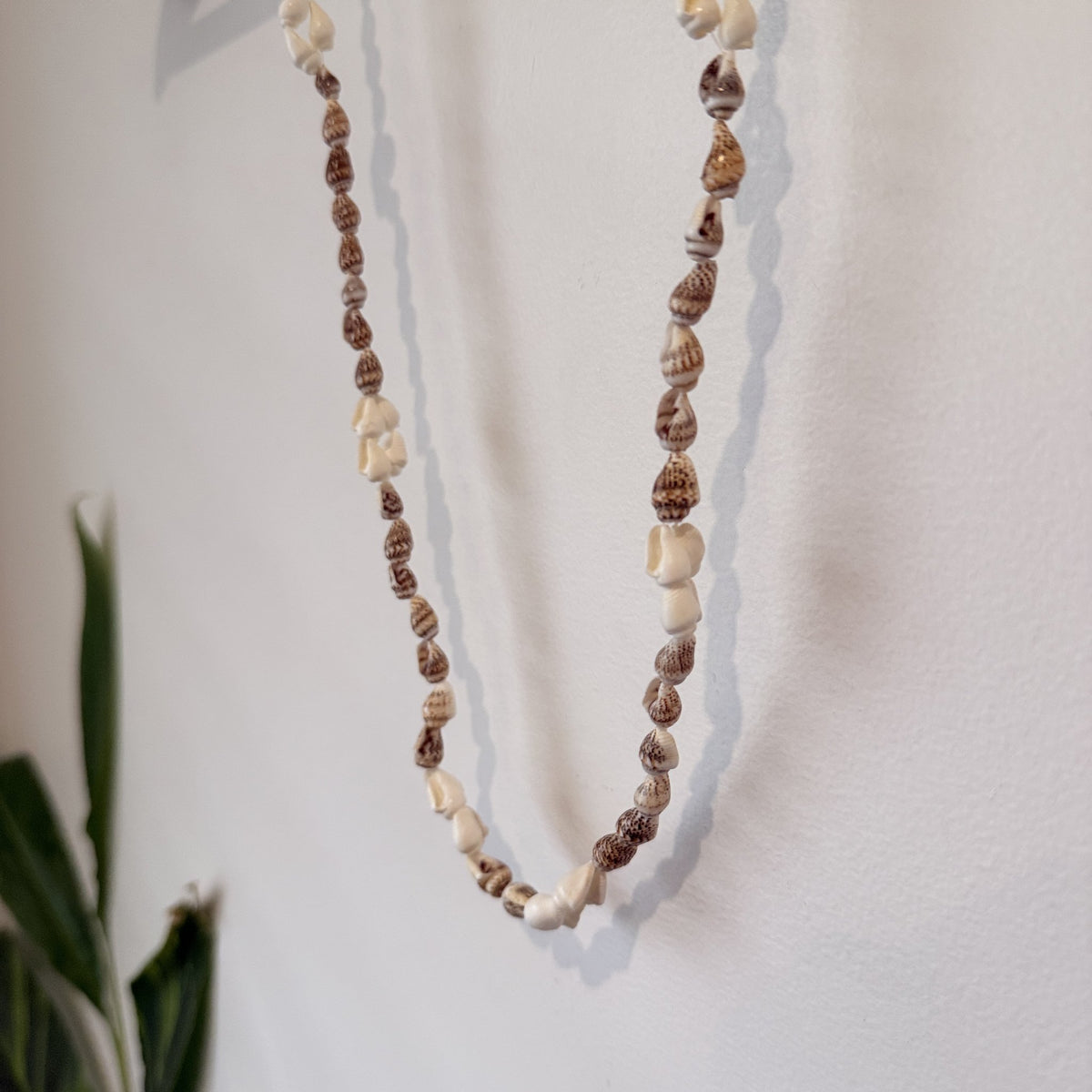 Brown & White Shell Long Necklace