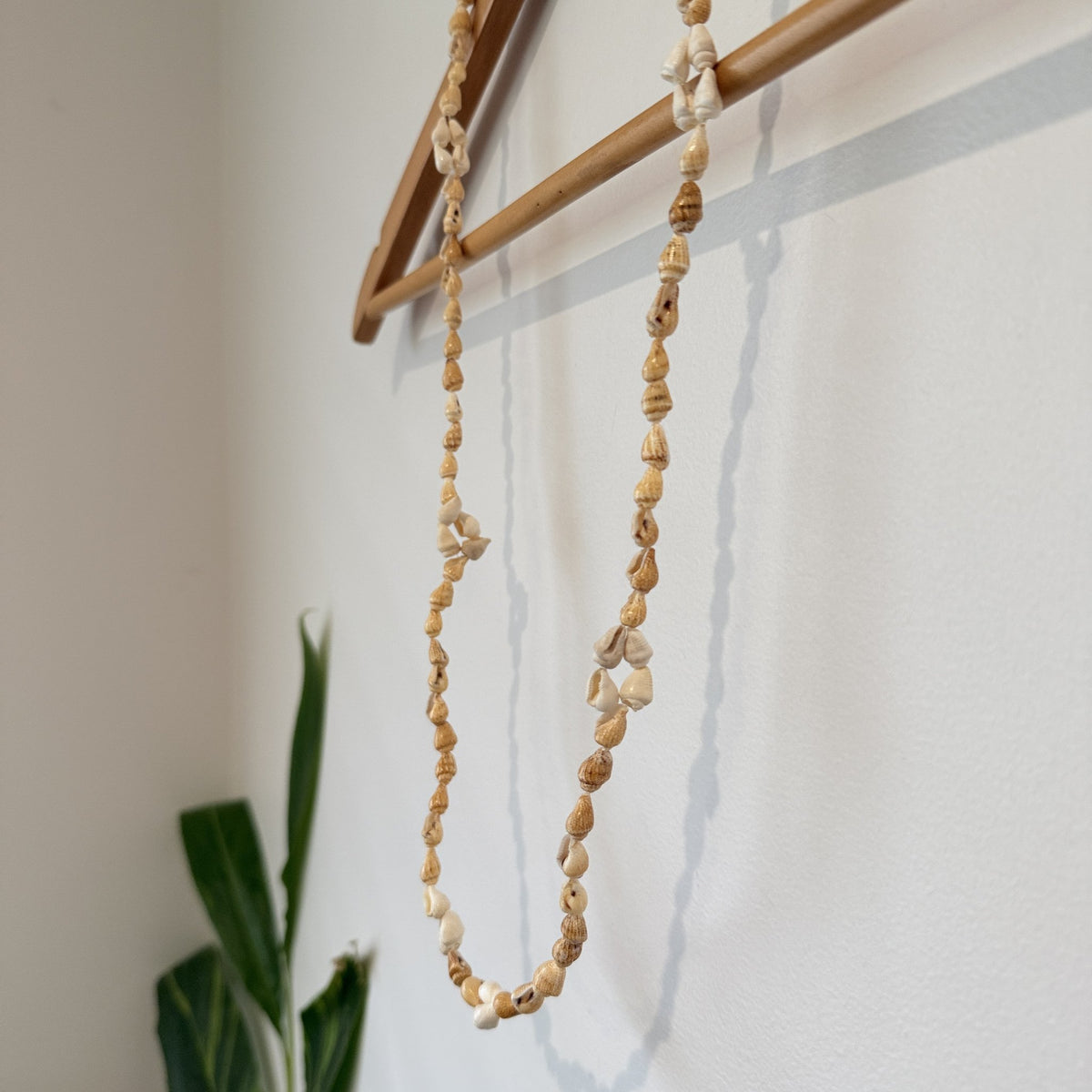 Small Natural Shell Long Necklace