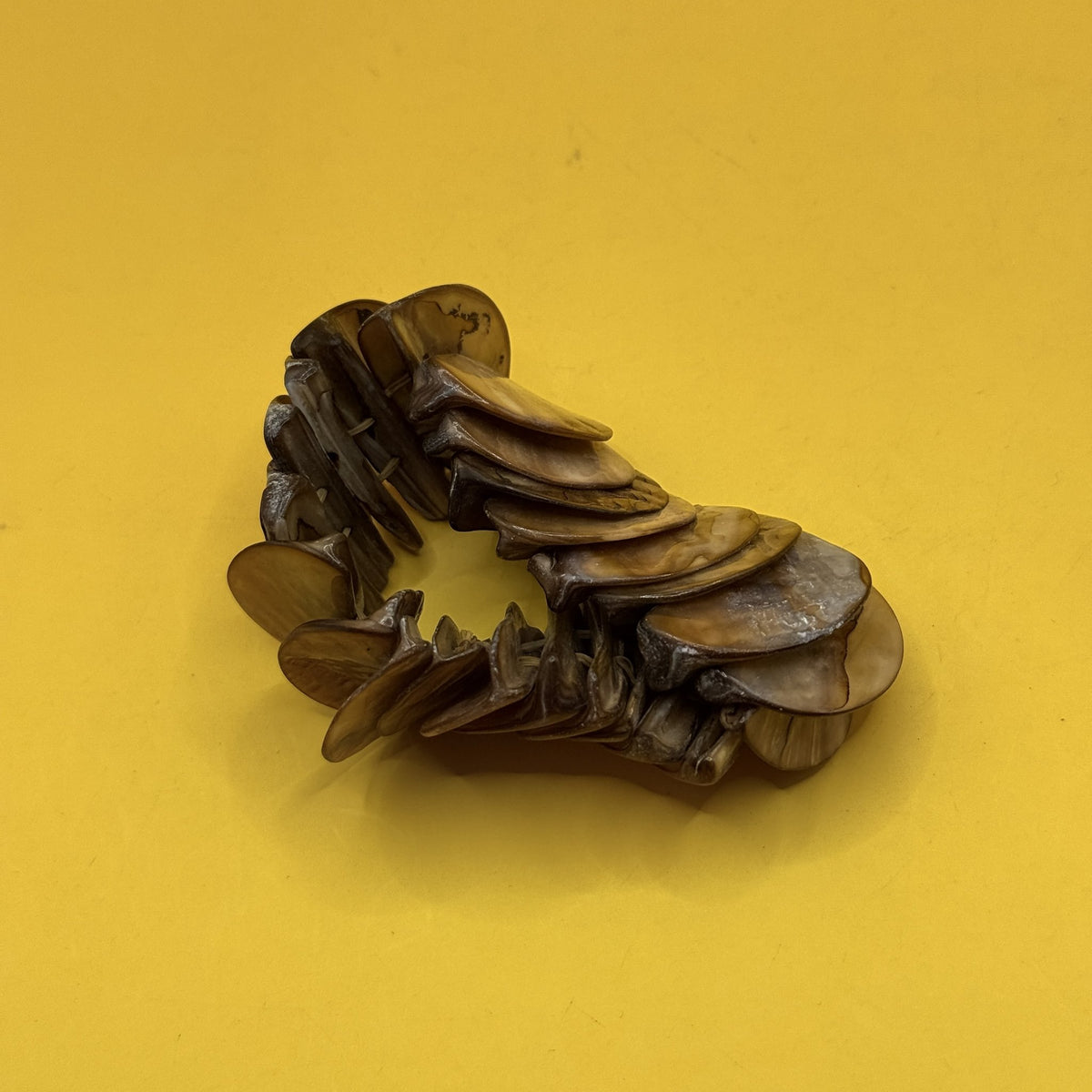 Shell Jewellery Bracelet