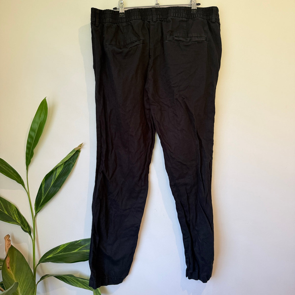 H & M Casual Pants Size XL