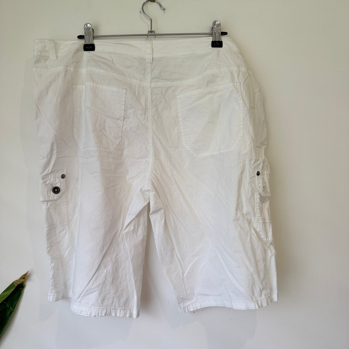 Style & Co Cargo Shorts Size 14